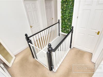 Picture 10